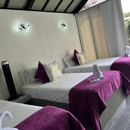 Star Center Hotel Boutique ريونيغرو المظهر الخارجي الصورة
