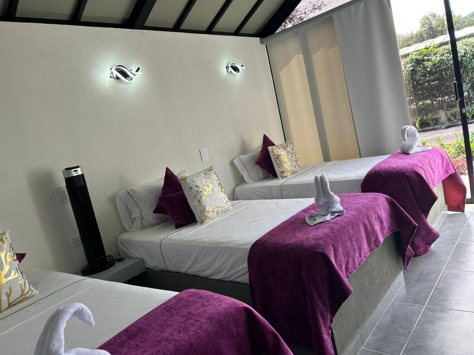 Star Center Hotel Boutique ريونيغرو المظهر الخارجي الصورة