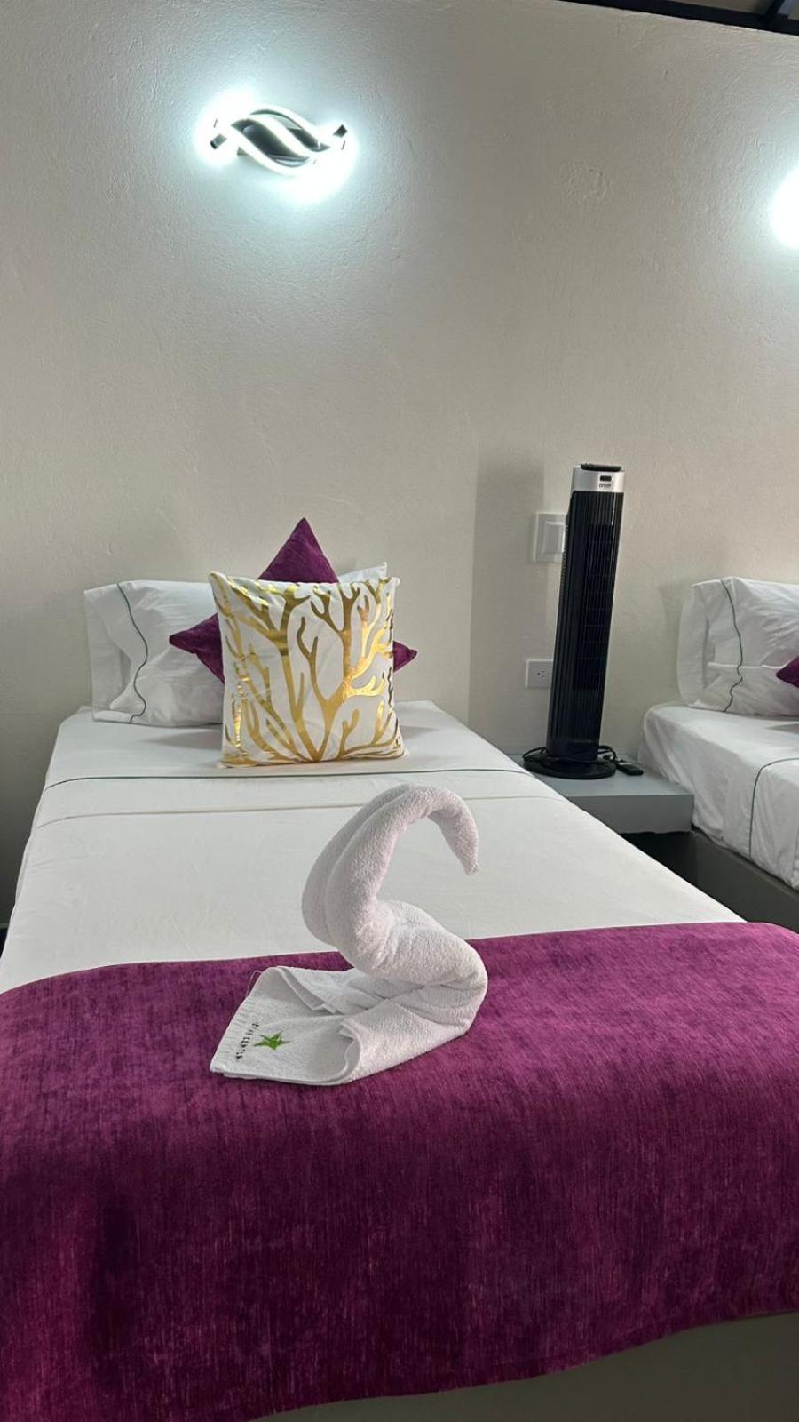 Star Center Hotel Boutique ريونيغرو المظهر الخارجي الصورة