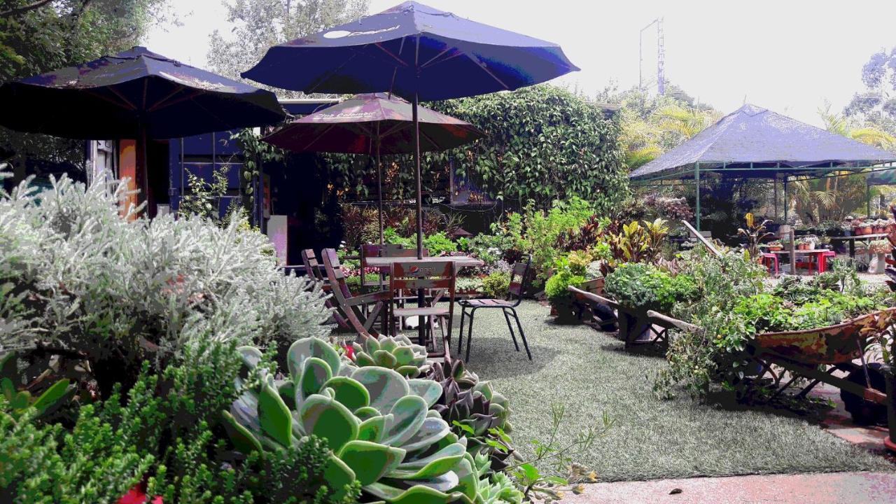 Star Center Hotel Boutique ريونيغرو المظهر الخارجي الصورة