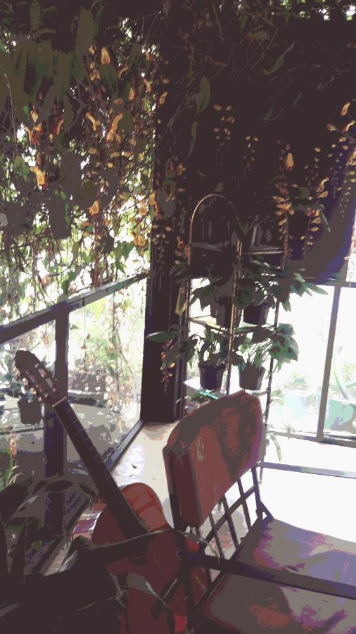 Star Center Hotel Boutique ريونيغرو المظهر الخارجي الصورة
